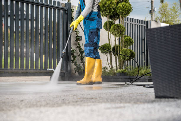 Best Patio and Deck Pressure Washing  in Progreso, TX