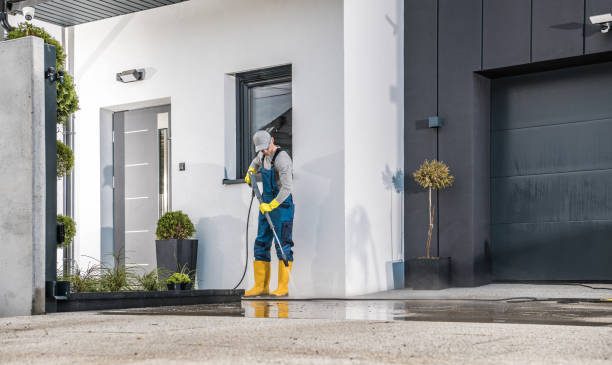 Best Sidewalk and Walkway Cleaning  in Progreso, TX
